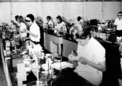 Foto em preto e branco antiga mostrando diversas mulheres em bancadas de laboratório